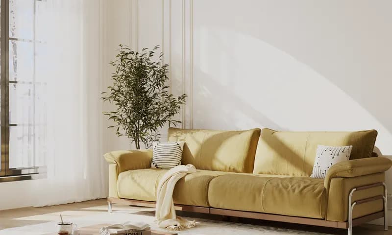 Indoor Natural Light